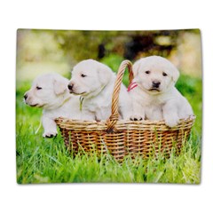 Double Sided Flano Blanket (Large)