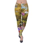 Near the Woods in Spring with cat, rabbit, and squirrels Velvet Leggings