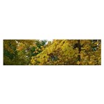 Vermont Tree in Autumn Satin Scarf (Oblong)