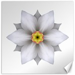 White Daffodil II Flower Mandala Canvas 16  x 16  