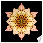 Asiatic Lily II Flower Mandala Canvas 16  x 16  
