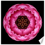 Pink Peony I Flower Mandala Canvas 12  x 12  