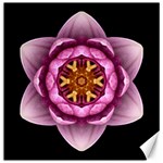 Water Lily X Flower Mandala Canvas 16  x 16  