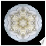 White Begonia II Flower Mandala Canvas 12  x 12  
