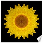 Yellow Sunflower II Flower Mandala Canvas 12  x 12  