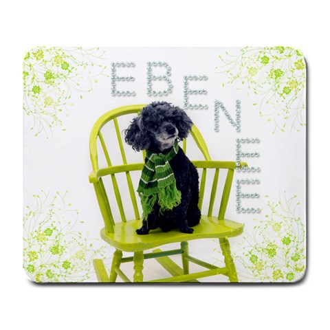 Ebenee By Bonnie Cheshier Front