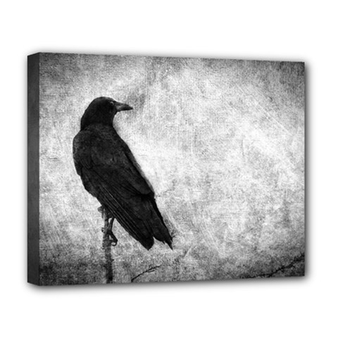 Black Crow Deluxe Canvas 20  X 16  (stretched) by heathergreen