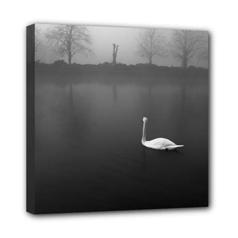 Swan 8  X 8  Framed Canvas Print