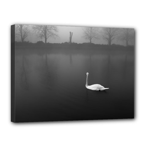 Swan 12  X 16  Framed Canvas Print