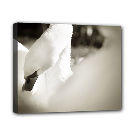 Swan 8  X 10  Framed Canvas Print