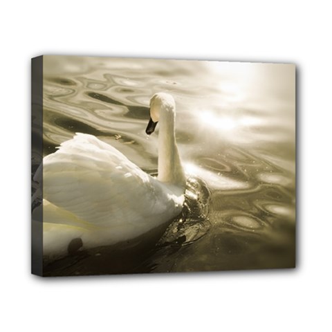 Swan 8  X 10  Framed Canvas Print