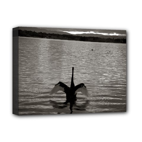 Swan, Canberra Deluxe Canvas 16  X 12  (stretched)  by artposters