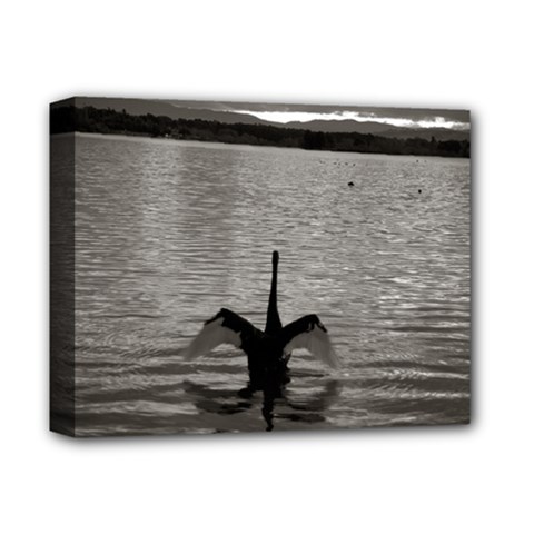 Swan, Canberra Deluxe Canvas 14  X 11  (stretched) by artposters