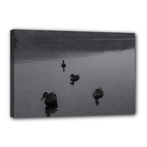 ducks 12  x 18  Framed Canvas Print