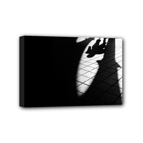 Shadows 4  X 6  Framed Canvas Print