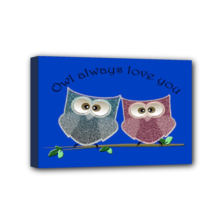 Owl always love you, cute Owls 4  x 6  Framed Canvas Print