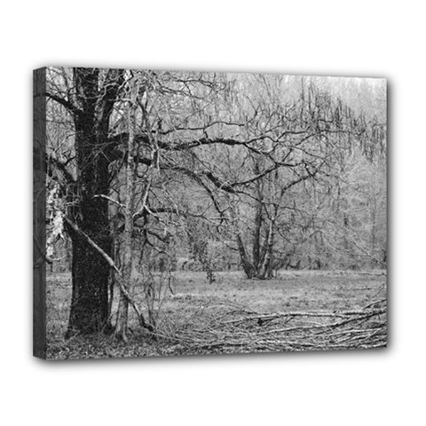 Black And White Forest 11  X 14  Framed Canvas Print