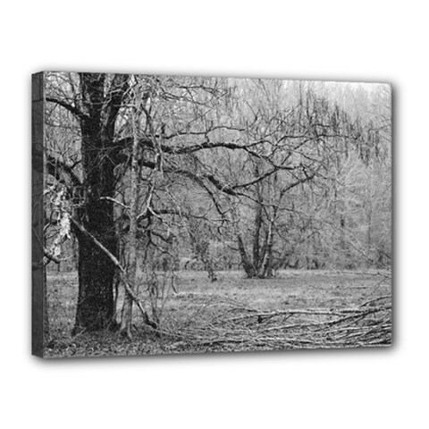 Black And White Forest 12  X 16  Framed Canvas Print by Elanga
