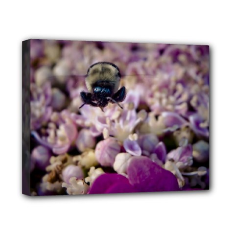 Flying Bumble Bee 8  X 10  Framed Canvas Print by Elanga