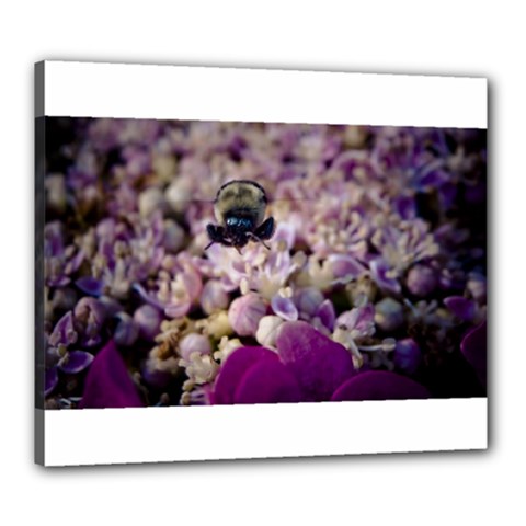 Flying Bumble Bee 20  X 24  Framed Canvas Print by Elanga