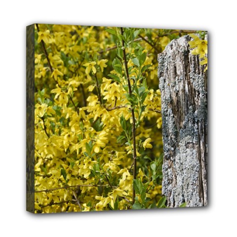 Yellow Bells 8  X 8  Framed Canvas Print