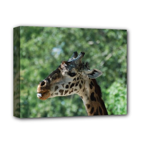 Cute Giraffe Deluxe Canvas 14  X 11  (framed) by AnimalLover