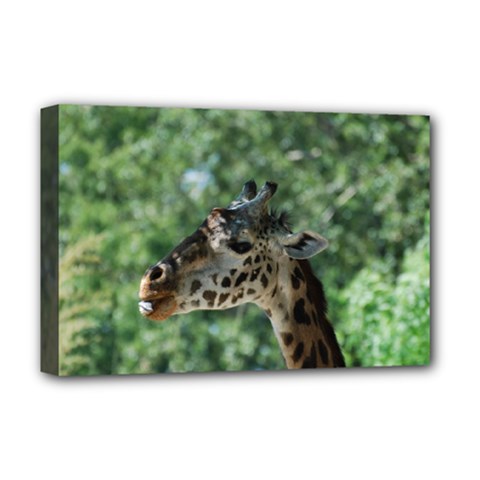 Cute Giraffe Deluxe Canvas 18  X 12  (framed)