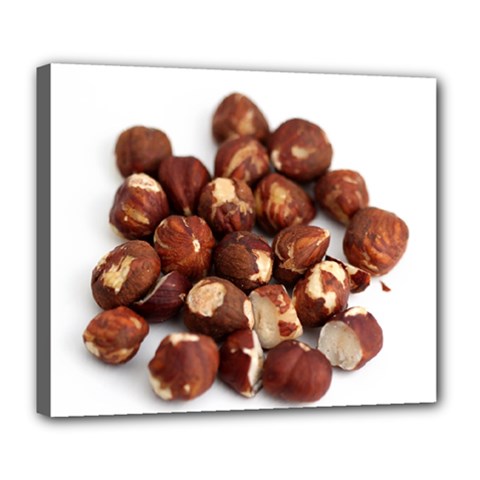 Hazelnuts Deluxe Canvas 24  X 20  (framed) by hlehnerer