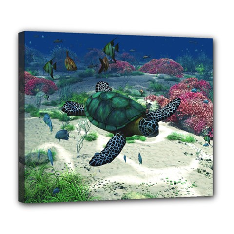 Sea Turtle Deluxe Canvas 24  X 20  (framed) by gatterwe