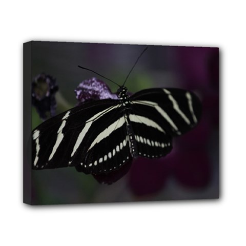 Butterfly 059 001 Canvas 10  X 8  (framed)