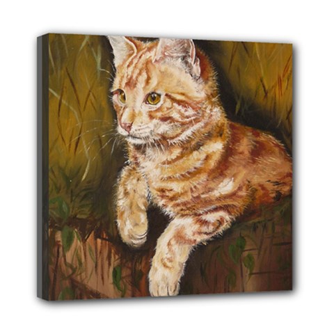 Cute Cat Mini Canvas 8  X 8  (framed) by cutepetshop