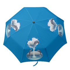 The Heart Of The Dolphins Folding Umbrella by gatterwe