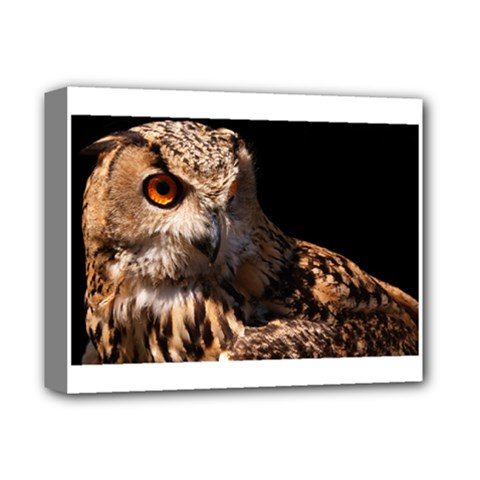 Owl Deluxe Canvas 14  X 11  (framed) by MLWartstore