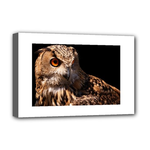Owl Deluxe Canvas 18  X 12  (framed) by MLWartstore