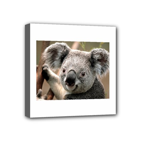 Koala Mini Canvas 4  X 4  (framed)
