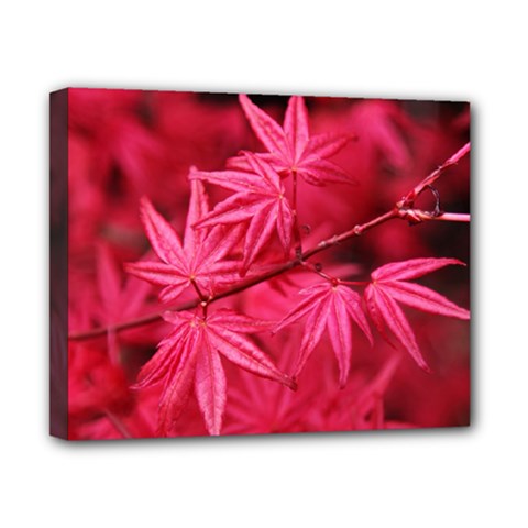 Red Autumn Canvas 10  X 8  (framed) by ADIStyle