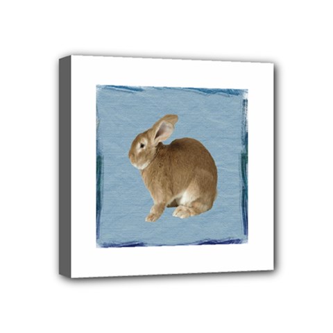 Cute Bunny Mini Canvas 4  X 4  (framed)