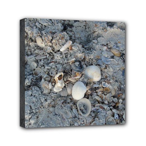 Sea Shells On The Shore Mini Canvas 6  X 6  (framed) by createdbylk