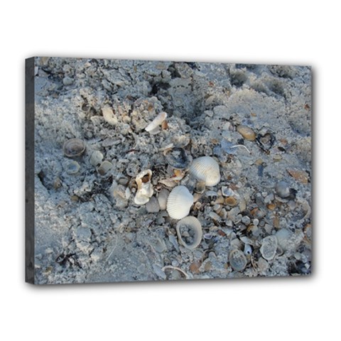 Sea Shells On The Shore Canvas 16  X 12  (framed) by createdbylk