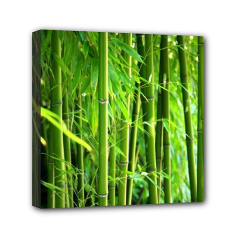 Bamboo Mini Canvas 6  X 6  (framed) by Siebenhuehner
