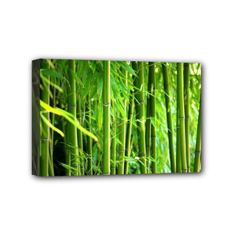 Bamboo Mini Canvas 6  X 4  (framed) by Siebenhuehner