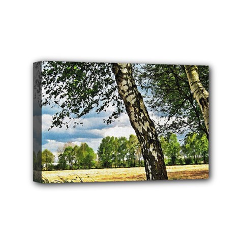 Trees Mini Canvas 6  X 4  (framed) by Siebenhuehner