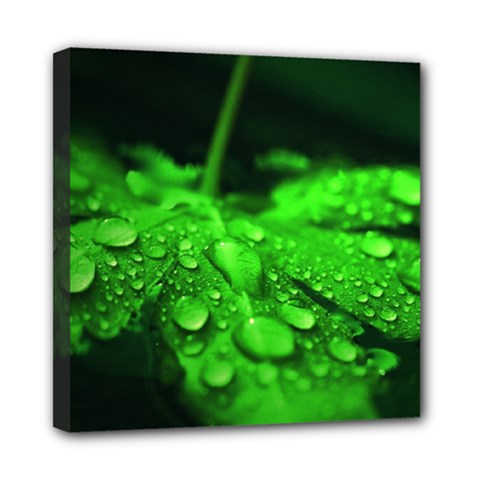 Waterdrops Mini Canvas 8  X 8  (framed) by Siebenhuehner