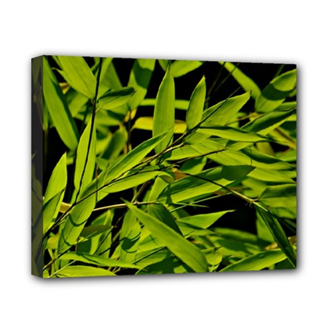 Bamboo Canvas 10  X 8  (framed) by Siebenhuehner