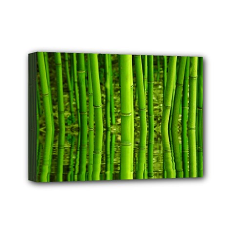 Bamboo Mini Canvas 7  X 5  (framed) by Siebenhuehner