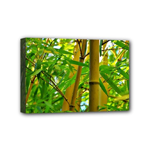 Bamboo Mini Canvas 6  X 4  (framed) by Siebenhuehner