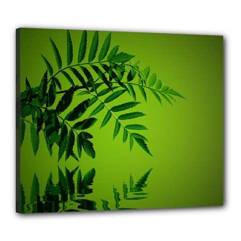 Leaf Canvas 24  X 20  (framed)