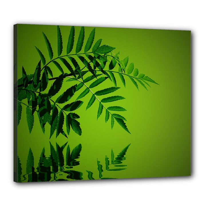 Leaf Canvas 24  x 20  (Framed)