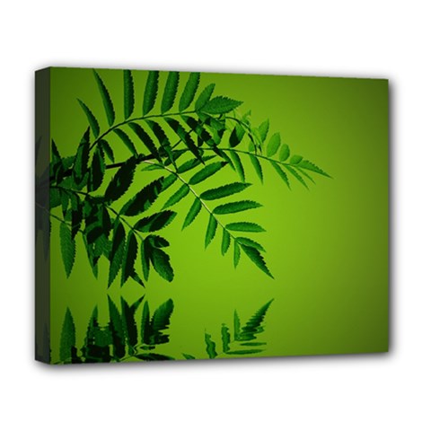 Leaf Deluxe Canvas 20  X 16  (framed) by Siebenhuehner