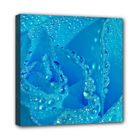 Blue Rose Mini Canvas 8  X 8  (framed) by Siebenhuehner